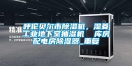 呼伦贝尔市除湿机，湿菱工业地下室抽湿机  库房配电房除湿器_重复