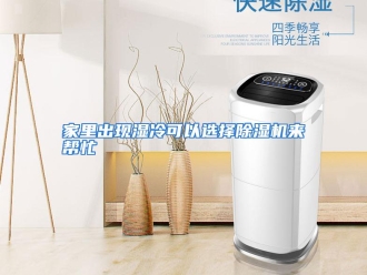 行业资讯家里出现湿冷可以选择除湿机来帮忙