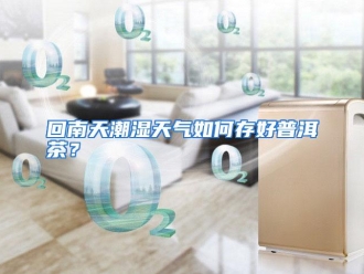 常见问题回南天潮湿天气如何存好普洱茶？