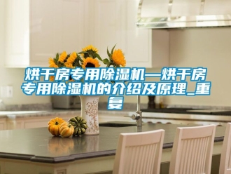 行业资讯烘干房专用除湿机—烘干房专用除湿机的介绍及原理_重复