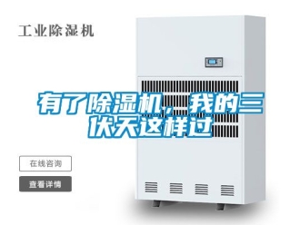 行业资讯有了除湿机，我的三伏天这样过