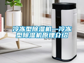 行业资讯冷冻型除湿机—冷冻型除湿机原理介绍