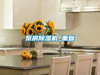 企业动态泵房除湿机_重复