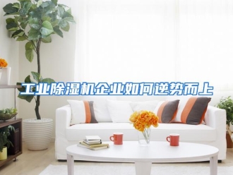 常见问题工业除湿机企业如何逆势而上