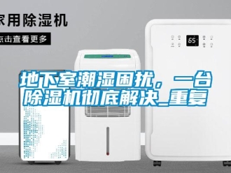 行业资讯地下室潮湿困扰，一台除湿机彻底解决_重复