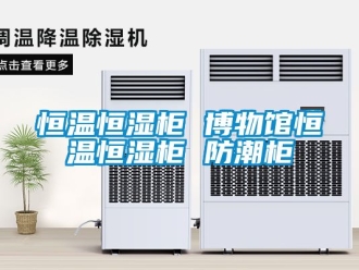 知识百科恒温恒湿柜 博物馆恒温恒湿柜 防潮柜