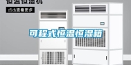 可程式恒温恒湿箱