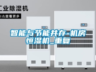 知识百科智能与节能并存-机房恒湿机_重复