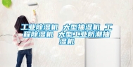 工业除湿机 大型抽湿机 工程除湿机 大型工业防潮抽湿机
