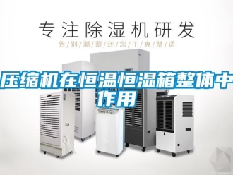 知识百科压缩机在恒温恒湿箱整体中作用