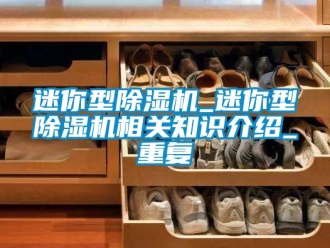 行业资讯迷你型除湿机_迷你型除湿机相关知识介绍_重复