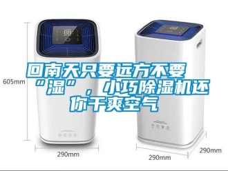 行业资讯回南天只要远方不要“湿”，小巧除湿机还你干爽空气
