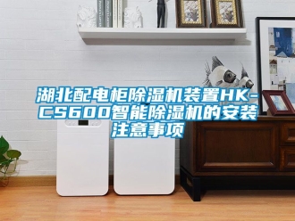 行业资讯湖北配电柜除湿机装置HK-CS600智能除湿机的安装注意事项