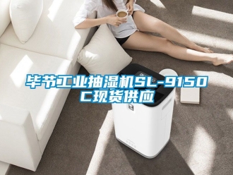 企业动态毕节工业抽湿机SL-9150C现货供应