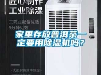 行业资讯家里存放普洱茶一定要用除湿机吗？