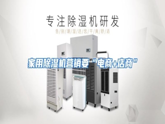 行业资讯家用除湿机营销要“电商+店商”