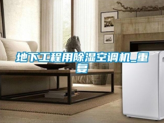 行业资讯地下工程用除湿空调机_重复