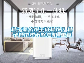 行业资讯柿子怎么烘干成柿饼？柿子柿饼烘干除湿机_重复