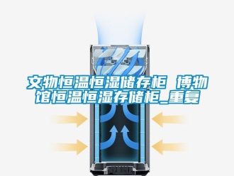 知识百科文物恒温恒湿储存柜 博物馆恒温恒湿存储柜_重复
