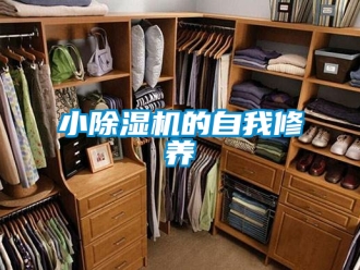 行业资讯小除湿机的自我修养