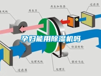 行业资讯孕妇能用除湿机吗