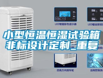 知识百科小型恒温恒湿试验箱非标设计定制_重复