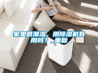 行业资讯家里很潮湿，用除湿机有用吗？_重复