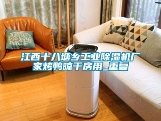 企业动态江西十八塘乡工业除湿机厂家烤鸭晾干房用_重复