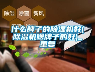 行业资讯什么牌子的除湿机好(除湿机啥牌子的好)_重复