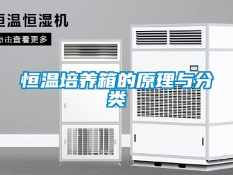 知识百科恒温培养箱的原理与分类