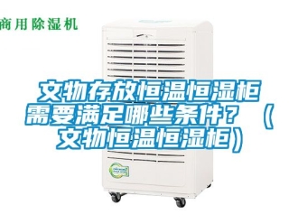 知识百科文物存放恒温恒湿柜需要满足哪些条件？（文物恒温恒湿柜）