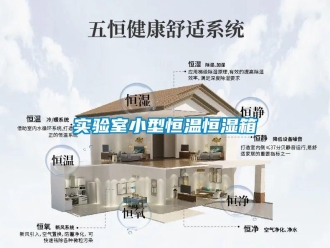 知识百科实验室小型恒温恒湿箱