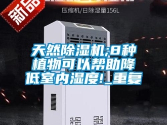 行业资讯天然除湿机;8种植物可以帮助降低室内湿度!_重复