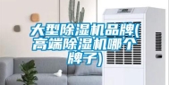 大型除湿机品牌(高端除湿机哪个牌子)