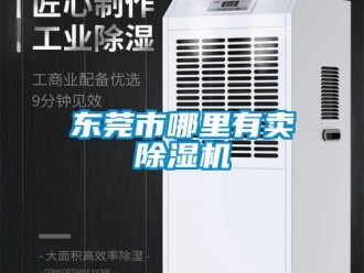行业资讯东莞市哪里有卖除湿机