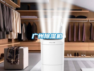 行业资讯广州除湿机