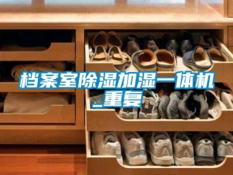 行业资讯档案室除湿加湿一体机_重复