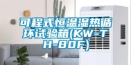 可程式恒温湿热循环试验箱(KW-TH-80F)