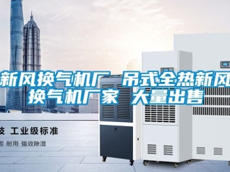 企业动态新风换气机厂 吊式全热新风换气机厂家 大量出售