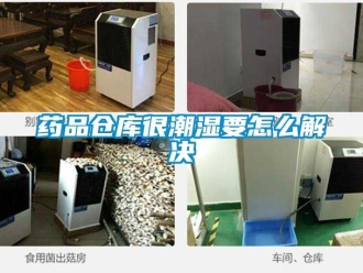 企业动态药品仓库很潮湿要怎么解决