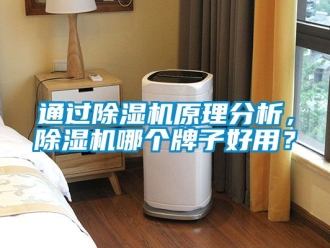 行业资讯通过除湿机原理分析，除湿机哪个牌子好用？