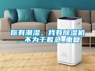 行业资讯你有潮湿，我有除湿机，不为干着急_重复