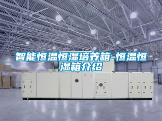 知识百科智能恒温恒湿培养箱-恒温恒湿箱介绍