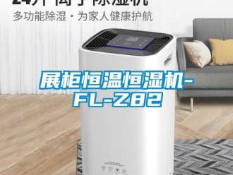 知识百科展柜恒温恒湿机-FL-Z82