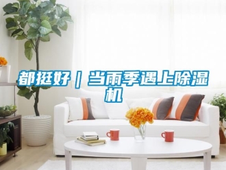 行业资讯都挺好｜当雨季遇上除湿机