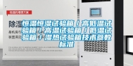恒温恒湿试验箱／高低温试验箱／高温试验箱／低温试验箱／湿热试验箱技术参数标准