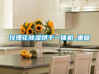 行业资讯玫瑰花除湿烘干一体机_重复