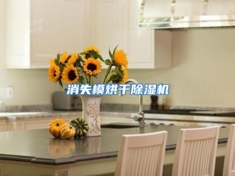行业资讯消失模烘干除湿机