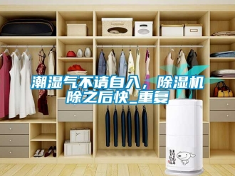 企业动态潮湿气不请自入，除湿机除之后快_重复