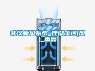 企业动态武汉新风系统_佳熙暖通(图)_重复